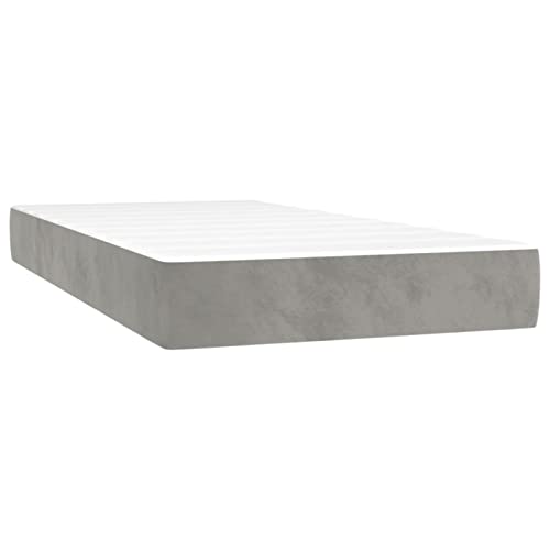 Imagen Ciadaz cama box spring con led en terciopelo gris claro