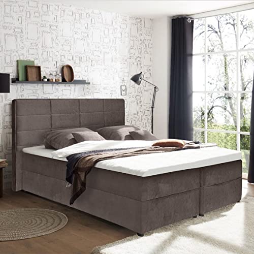 Imagen Pack cama boxspring de terciopelo topo - descanso total