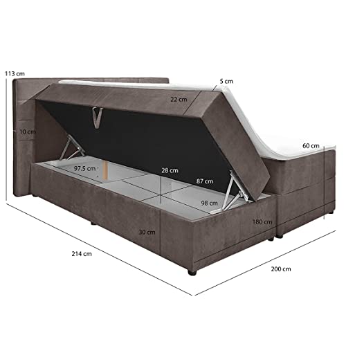 Imagen Pack cama boxspring de terciopelo topo - descanso total