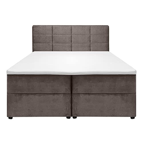 Imagen Pack cama boxspring de terciopelo topo - descanso total