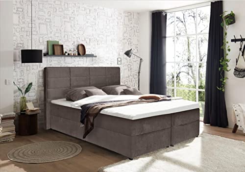 Imagen Pack cama boxspring de terciopelo topo - descanso total