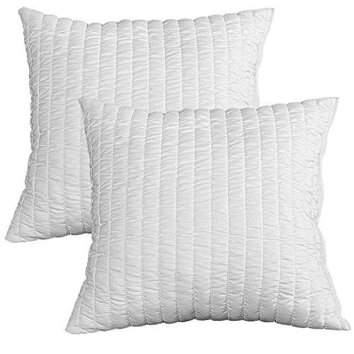 Imagen Almohadas evergreenweb 60x60 viscoelasticas suavidad plumas oca