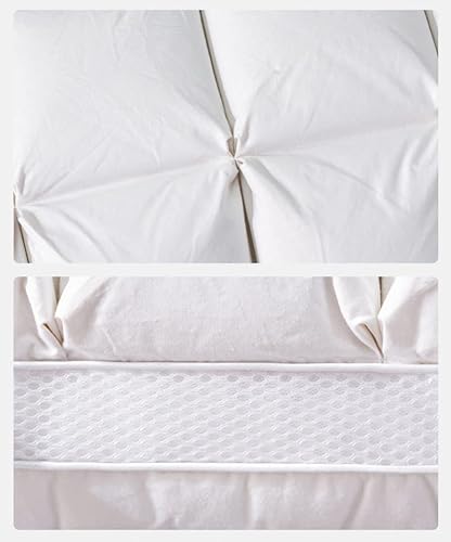 Imagen Almohada de plumas blancas suaves estilo frances