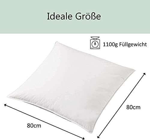 Imagen Almohada de plumas natural welt-der-tr?ume 1100 gramos