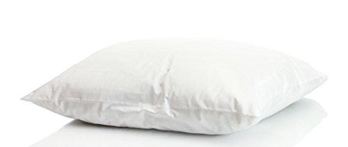 Imagen Almohada de plumon 100 natural para decorar tu cama