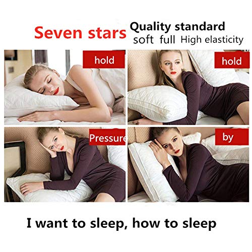 Imagen Pack de almohadas de hotel suavidad suprema 48x74 cm