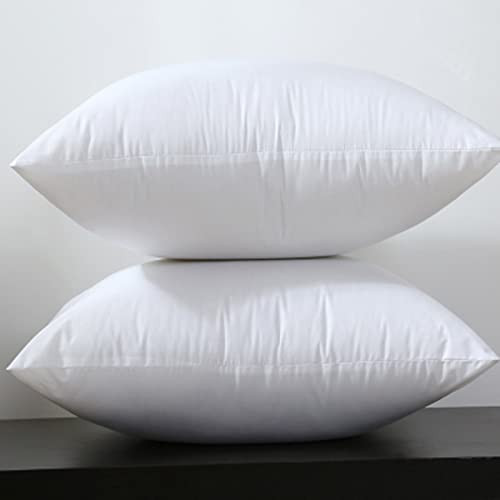 Imagen Nucleo de almohada de terciopelo de pluma suave y elegante para decorar tu dormitorio