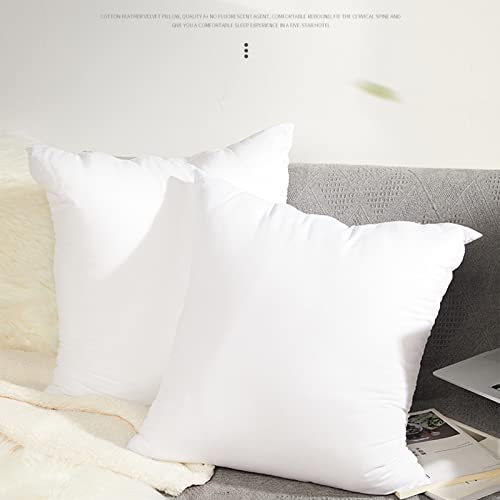 Imagen Nucleo de almohada de terciopelo de pluma suave y elegante para decorar tu dormitorio