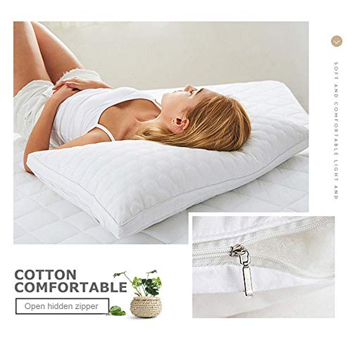 Imagen Juego de 2 almohadas de plumas de ganso para cama king size