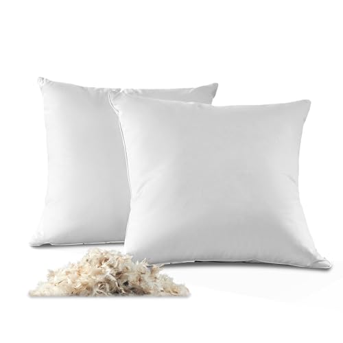 Imagen Set de almohadas de plumas suaves y confortables