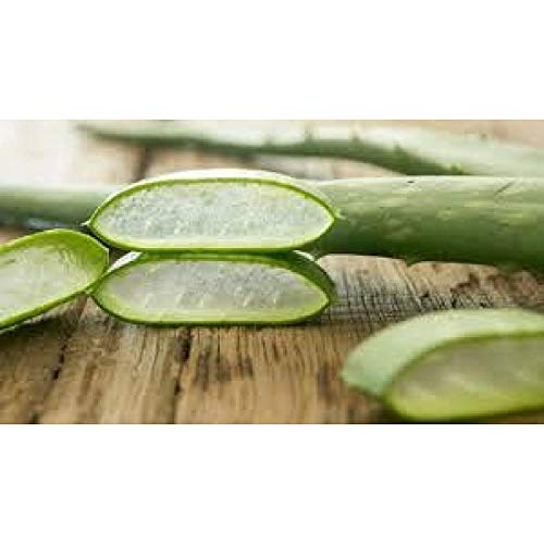 Imagen Almohadas ortopedicas de espuma viscoelastica con tejido de aloe vera