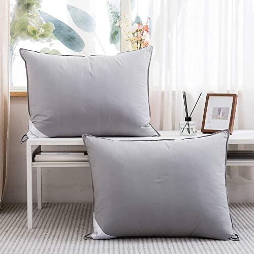 Imagen Almohada de plumon de ganso gris natural king size 100 algodon para hotel