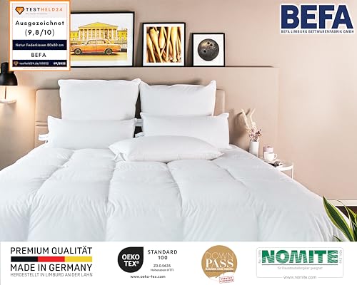 Imagen Almohada de lujo befa natur fabricada en alemania 80x80 cm blanco hipoalergenica ?ko-tex