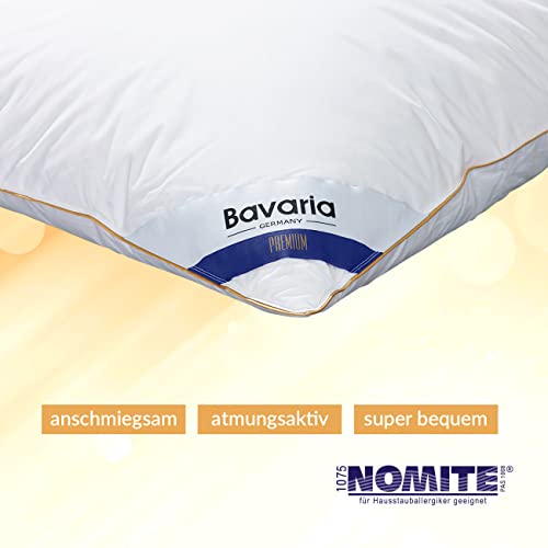 Imagen Almohada premium de plumon de ganso voyal linnen 3 camaras certificado downpass 80x80 cm fabricado en alemania