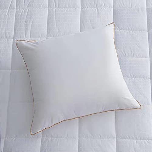 Imagen Almohada europea de plumas de ganso blanco 60x60 cm