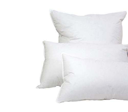 Imagen Cojin almohada evolution suave plumon de oca blanca 100