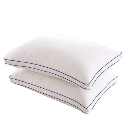 Imagen Pack 2 almohadas de pluma de ganso suavidad y soporte