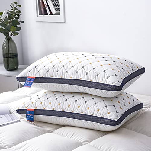 Imagen Pack 2 almohadas de plumas bordadas suaves y transpirables 19x29cm